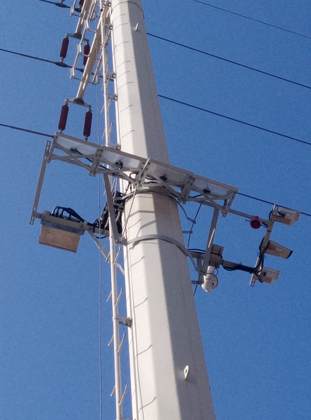 P80515-165920.jpg P80515-165920.jpg