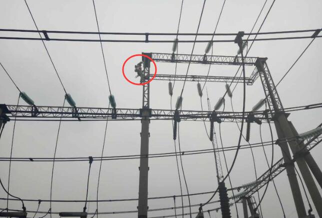 綜合型智能超聲波驅(qū)鳥(niǎo)器 為保護(hù)變電站驅(qū)鳥(niǎo)提供有力支持 綜合型智能超聲波驅(qū)鳥(niǎo)器 為保護(hù)變電站驅(qū)鳥(niǎo)提供有力支持